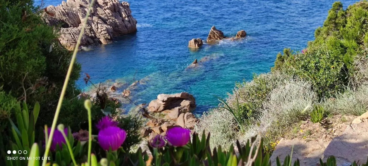 Villa Casa Di Maia, Piscina, Posto Auto E Giardino à Costa Paradiso